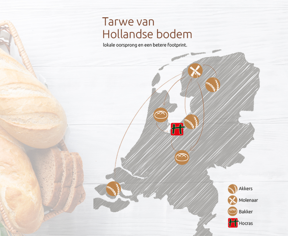 Tarwe van Hollandse bodem